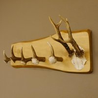 Chalet Garderobe Aus Hirschgeweih - Rustikale Wandgarderobe Holz Handgefertigtes Jäger Geschenk Mit 5 Haken Gtk27.8.96 Chalet Garderobe Aus Hirschgeweih - Rustikale Wandgarderobe Holz Handgefertigtes Jäger Geschenk Mit 5 Haken Gtk27.8.96 von GeweiheKrumholz