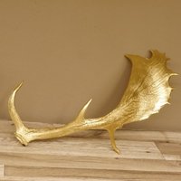 Gold Damhirsch Abwurfstange - Geschenk Weihnachten Basteln Wohndekor Gtk73.1.180 von GeweiheKrumholz