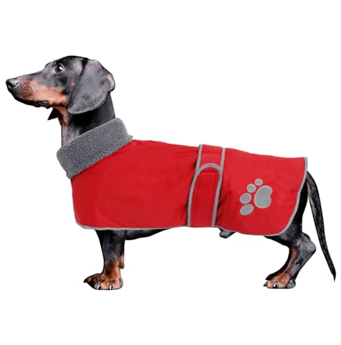 Geyecete-Hunde Wintermantel fur Dackel,Hundejacken mit plüschfutter und Kabelbaumloch,Wasserdichter winddicht, reflektierend Outdoor Hundekleidung fur mittel und Kleiner Dackel Hund-Rot-L von Geyecete