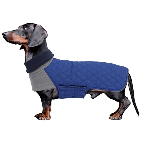 Geyecete Hundemantel Dackel, Dackel Wintermantel, Warmer Quilten Dackelmantel mit Geschirr Loch,Winddicht Rollkragen Hundejacken, Miniatur Dachshund Weste für kleine Hunde-Blau-M von Geyecete
