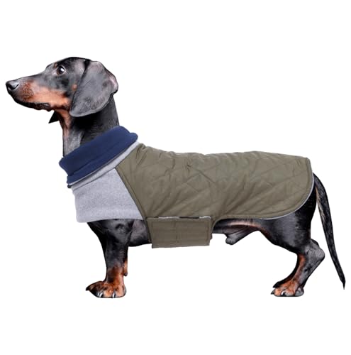 Geyecete Hundemantel Dackel, Dackel Wintermantel, Warmer Quilten Dackelmantel mit Geschirr Loch,Winddicht Rollkragen Hundejacken, Miniatur Dackel Weste für kleine Hunde-grün-S von Geyecete