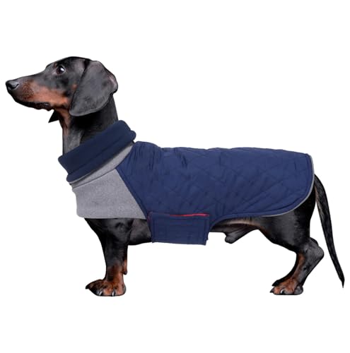 Geyecete Hundemantel Dackel, Dackel Wintermantel, Warmer Quilten Miniatur Dackelmantel mit Geschirr Loch,Winddicht Rollkragen Hundejacken für kleine Hunde-Dunkelblau-XS von Geyecete
