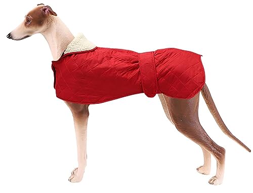 Geyecete - Windhund Warmer wintermantel, Hundemantel mit Dickes Steppfutter, verstellbaren Outdoor Hundejacke mit Geschirr Loch für mittel große Windhunde Whippet Lurcher Saluki -Rot-M von Geyecete
