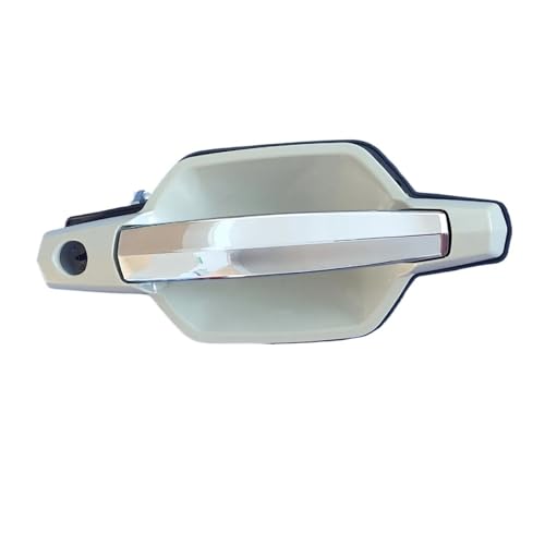 Ggwqoops Auto Außentürgriffe Für Hyundai Für Terracan 2001-2007 Türgriff Türgriff Mit Loch Vorne Links Und Rechts 82660-H1010 82650-H1010 Türdrücker(Right) von Ggwqoops