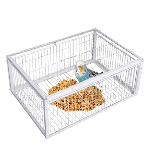 Bird Catcher Cage, Escape Proof Trap, 15.75x11.81x10.24 Inches Automatic Entry Enclosure, Easy Clean Design, Four Door Access for Pigeons Sparrow Parrot Parakeet Budgies Pet Use Bird Catcher Cage, Escape Proof Trap, 15.75x11.81x10.24 Inches Automatic Entry Enclosure, Easy Clean Design, Four Door Access for Pigeons Sparrow Parrot Parakeet Budgies Pet Use von Ghjkldha