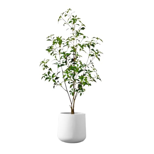 Gefälschte Pflanzen - künstliche künstliche Pflanze für -Gypsophila für modernes Hausdekor, dekorative Ornament mit realistischem lebensechtem Aussehen, Blattbaum für Schlafzimmer Badezimmer Wohn Gefälschte Pflanzen - künstliche künstliche Pflanze für -Gypsophila für modernes Hausdekor, dekorative Ornament mit realistischem lebensechtem Aussehen, Blattbaum für Schlafzimmer Badezimmer Wohn von Ghjkldha