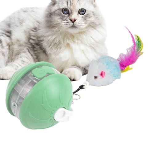 Ghjkldha Interactive Cat Ball, Intelligent Kitten Toy, Automatic Rolling Pet Device, 1.97x1.97 Inches, Features Safe Materials and Motion Activation, for Home Lawn Park Balcony Backyard Ghjkldha Interactive Cat Ball, Intelligent Kitten Toy, Automatic Rolling Pet Device, 1.97x1.97 Inches, Features Safe Materials and Motion Activation, for Home Lawn Park Balcony Backyard von Ghjkldha
