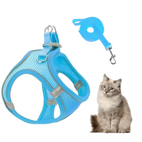 Hundegeschirr und Leinenset - Geschirr und Leinen Für Mittelgroße Hunde - Atmungsaktives Reflektierendes Welpen Katzen Geschirr Für Training Auto Reisen Wandern Hundegeschirr und Leinenset - Geschirr und Leinen Für Mittelgroße Hunde - Atmungsaktives Reflektierendes Welpen Katzen Geschirr Für Training Auto Reisen Wandern von Ghjkldha