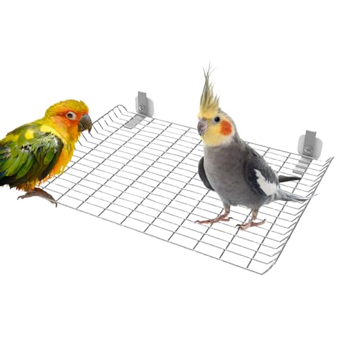 Parrot Perches, Bird Stand Parrots, Stainless Steel Cage Perch, Sturdy Non Rust Rod, Easy Mounting Brackets 10.87x7.32 Inches, for Budgies Cockatiels Conures Canary Lovebirds von Ghjkldha