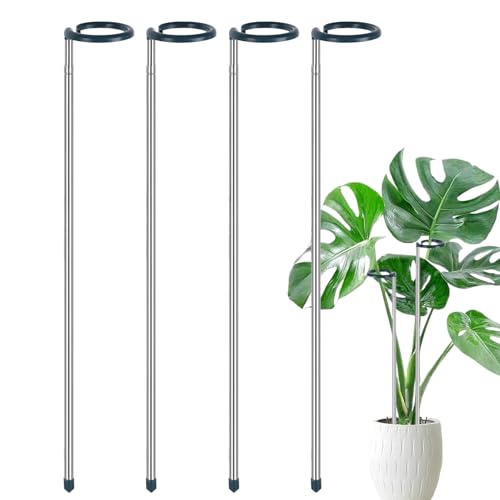 Pflanzstäbe für den Innenbereich, ausziehbarer Monstera-Pfahl, wetterbeständig, wiederverwendbar, Gartengeräte für Gemüse, Ranken, Tomaten, Blumen, Monstera, Ringelblumen Pflanzstäbe für den Innenbereich, ausziehbarer Monstera-Pfahl, wetterbeständig, wiederverwendbar, Gartengeräte für Gemüse, Ranken, Tomaten, Blumen, Monstera, Ringelblumen von Ghjkldha