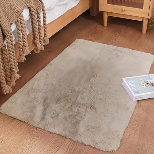 Ghouse Kurzflor Wohnzimmer Teppich Schlafzimmer Matte Moderner Home Flauschig Weich Teppiche für Kinderzimmer Anti-Rutsch Unterseite Waschbarer Teppich 60x90 cm Beige von Ghouse