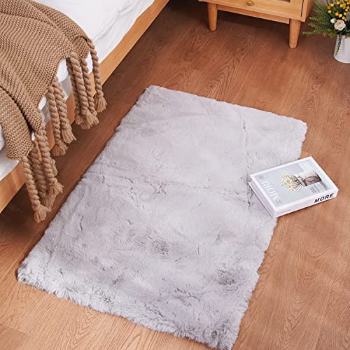 Ghouse Kurzflor Wohnzimmer Teppich Schlafzimmer Matte Moderner Home Flauschig Weich Teppiche für Kinderzimmer Anti-Rutsch Unterseite Waschbarer Teppich 60x90 cm Grau von Ghouse