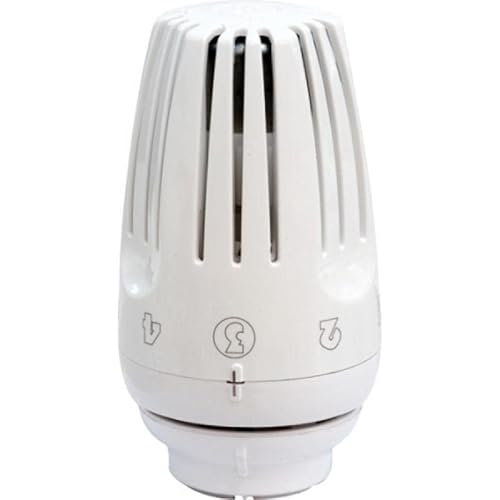 Giacomini Thermostatkopf Clip-Clap R469, Messing, Globe Ventil, 2-Portig, 15 mm G-Anschluss, 10 bar, Gemalt Giacomini Thermostatkopf Clip-Clap R469, Messing, Globe Ventil, 2-Portig, 15 mm G-Anschluss, 10 bar, Gemalt von Giacomini