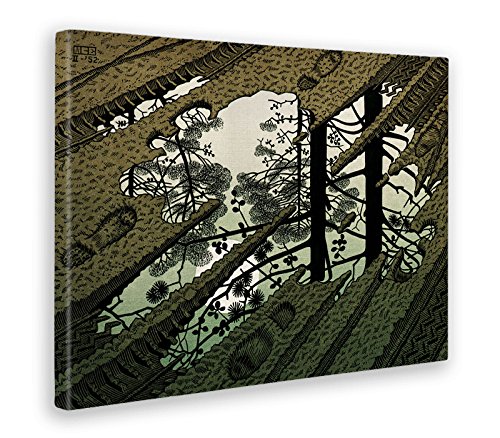 Giallobus - Bild - Druck AUF LEINWAND - Escher - Lizard - PFÜTZE - 70 x 100 cm von Giallobus