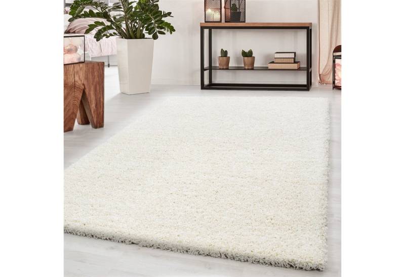 Hochflor-Teppich Shaggy Wohnzimmer Schlafzimmer Hochflorteppich meliert, Giancasa von Giancasa