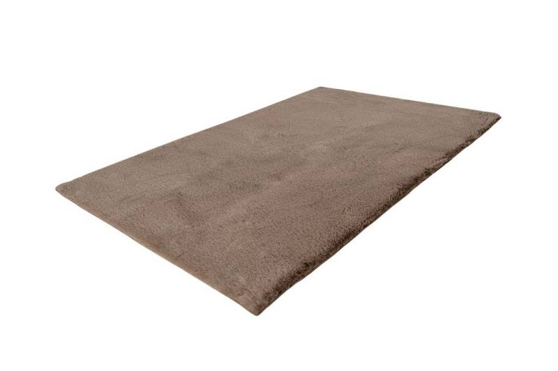 Giantore Teppich Badematte Rabbit Light 225 Dunkelbeige 40cm x 60cm, rechteckig, Rutschhemmend beschichtet, besonders kuschelig, waschbar Giantore Teppich Badematte Rabbit Light 225 Dunkelbeige 40cm x 60cm, rechteckig, Rutschhemmend beschichtet, besonders kuschelig, waschbar von Giantore