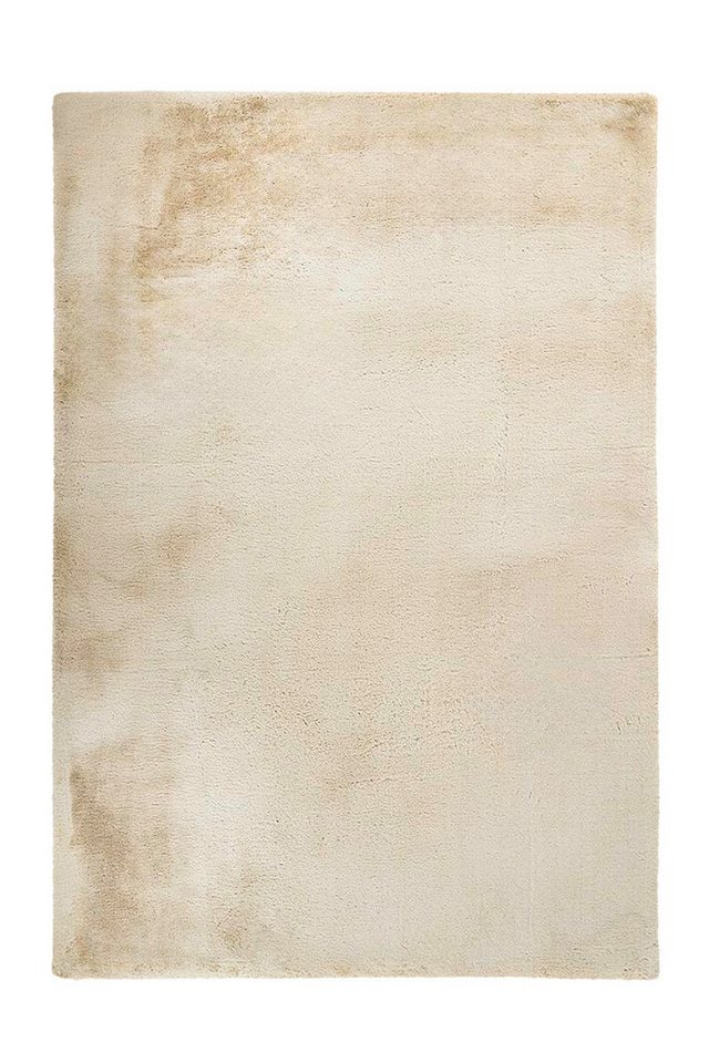 Giantore Teppich Boundless 225 Anthrazit 120cm x 170cm, rechteckig Giantore Teppich Boundless 225 Anthrazit 120cm x 170cm, rechteckig von Giantore