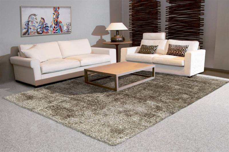 Giantore Teppich Grace Shaggy Anthrazit 160cm x 230cm, rechteckig, Supersofter Hochflorteppich aus 100% Polyester Giantore Teppich Grace Shaggy Anthrazit 160cm x 230cm, rechteckig, Supersofter Hochflorteppich aus 100% Polyester von Giantore