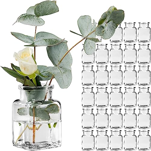 30 Stück Mini Vasen Glasfläschchen kleine Dekoflaschen Väschen Flasche Vase Blumenvase Glasflaschen Transparent von GIESSLE