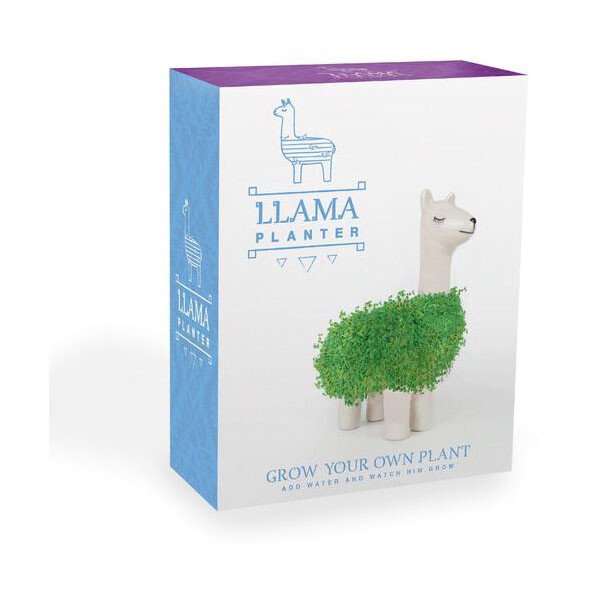 Gift Republic Green Lama mit Chia Samen von Gift Republic