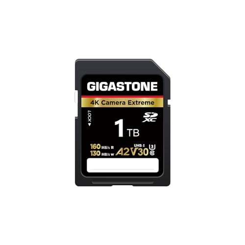 GIGASTONE 1 TB SD-Karte, 4K Camera Extreme, A2 V30 U3 SDXC Speicherkarte High Speed UHD Video kompatibel mit Canon Sony Panasonic Digitalkamera, mit 1 Mini-Hülle von Gigastone