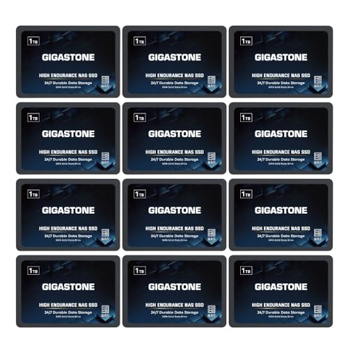 Gigastone NAS SSD 1TB SSD Festplatte (12er-Pack) TLC Hohe Dauerhaltbarkeit SSD für 24/7 Dauerbetrieb NAS-Systeme RAID 2,5 Zoll SATA III Internes Festkörper-Laufwerk SSD Caching von Gigastone