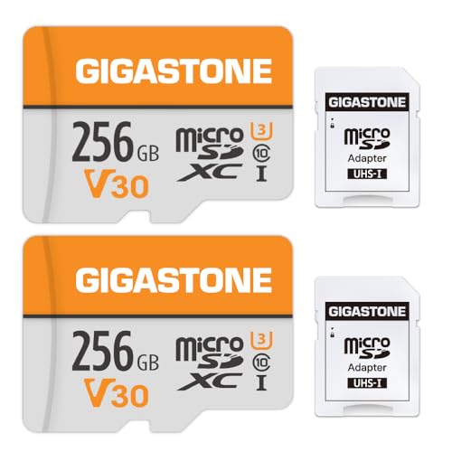 GIGASTONE Micro-SD-Karte 256GB MicoSDXC Speicherkarte 2er-Pack, bis zu 100 MB/s, Überwachungskamera, Sicherheitskamera, Action-Kamera, Drohne, 4K Video UHS-I V30 Klasse 10 von Gigastone