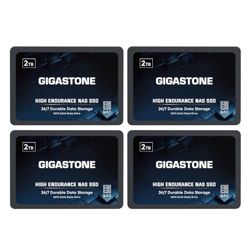 Gigastone NAS SSD 2TB SSD Festplatte (4er-Pack) TLC Hohe Dauerhaltbarkeit SSD für 24/7 Dauerbetrieb NAS-Systeme RAID 2,5 Zoll SATA III Internes Festkörper-Laufwerk SSD Caching von Gigastone