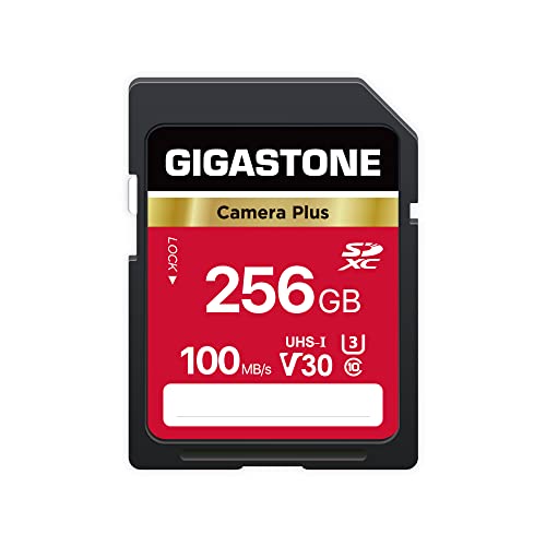 GIGASTONE Kamera Plus 256GB SDXC Speicherkarte bis zu 100 MB/s für Digitalkameras Canon Sony Olympus, 4K UHD Videoaufnahmen UHS-I U3 V30 Klasse 10, mit 1 Mini-Hülle von Gigastone