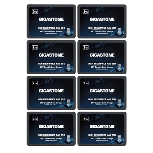 Gigastone SSD 2TB SSD Festplatte (8er-Pack) TLC Hohe Dauerhaltbarkeit SSD für 24/7 Dauerbetrieb NAS-Systeme RAID 2,5 Zoll SATA III Internes Festkörper-Laufwerk NAS Caching von Gigastone