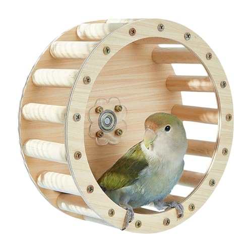 Gihioue Spielzeug Für Papageien - Vogels Laufrad Spielzeug | Holz Sittich Käfigzubehör Intelligenzförderndes Trainingszubehör von Gihioue