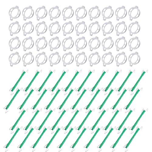 Gihioue Tomatenhalter Mit Spiralbindung,Pflanzen Rankhilfen Tomatenstütze - 40 Stück Gartenbefestigungen mit Clips zum Verhindern von Abfallen für Gewächshaus Urbanes Gärtnern und Balkon Gihioue Tomatenhalter Mit Spiralbindung,Pflanzen Rankhilfen Tomatenstütze - 40 Stück Gartenbefestigungen mit Clips zum Verhindern von Abfallen für Gewächshaus Urbanes Gärtnern und Balkon von Gihioue