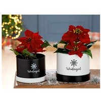 Metall Pflanztopf Winterzeit 21137 - Gilde Metall Pflanztopf Winterzeit 21137 - Gilde von Gilde