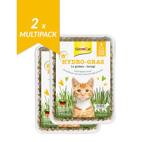 GimCat Hydro-Gras - Frisches Katzengras aus kontrolliertem Feldanbau in nur 5 bis 8 Tagen - 1 Schale (1 x 150 g) (Packung mit 2) von GimCat