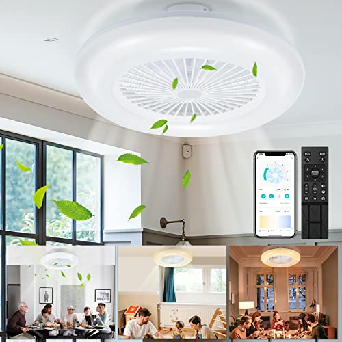 Gimisgu 80W Deckenventilator mit Beleuchtung, LED Dimmbar Deckenleuchte mit Ventilator Fernbedienung und Smarter APP Sommer- & Wintermodus 6 Geschwindigkeiten, φ55CM von Gimisgu