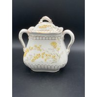Vintage John Maddock Royal Vitreous Zuckerdose Florales Porzellanglas Mit Deckel von GinasVintageDelights