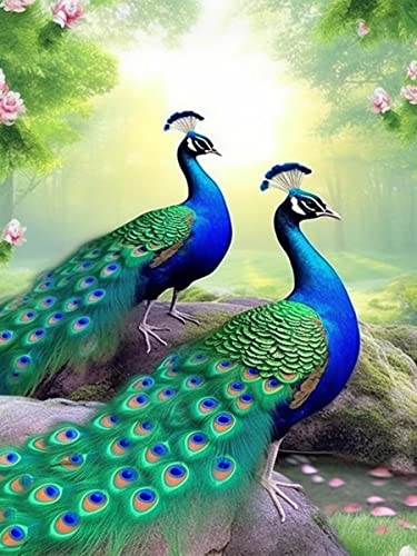 Ginfonr DIY Diamond Painting Zubehör Pfau Blume Set Full, 5D Diamant Painting Wald Tier Bilder Kit Crystal Rhinestone Embroidery Decoration Für Home Wall Décor 30x40 cm von Ginfonr