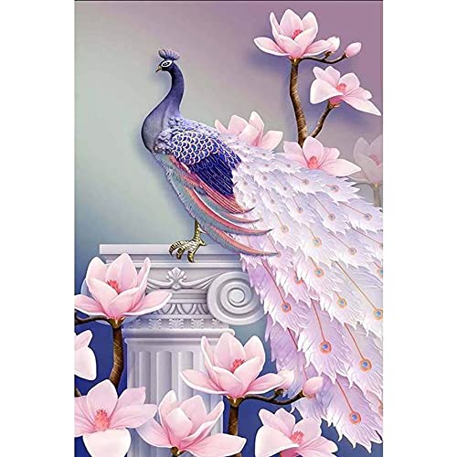 Ginfonr DIY Diamond Painting Zubehör Pfau Set Full, 5D Diamant Painting Rosa Feder Bilder Kit Crystal Rhinestone Embroidery Decoration Für Home Wall Décor 30x40cm von Ginfonr