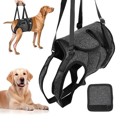 Help Em Up Geschirr für Hunde, verstellbares Hundegeschirr und Hundeschlinge für Hinterbeine, ältere und erholende Haustiere (XL, Dunkelgrau) von Giococo