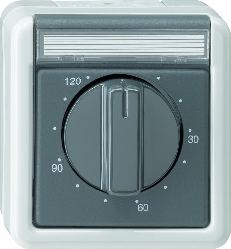 Gira 032130 Zeitschalter 120 Minuten Wassergeschützt Aufputz, grau von GIRA