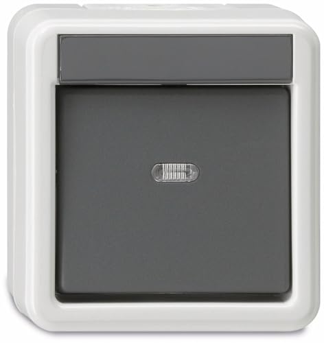 Gira Wippschalter 010630 Wechsel WG AP grau, 250 V von GIRA
