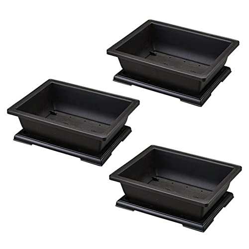 Gisoanudt 3X GroßEr Blumentopf Rechteck Bonsai Kindergarten Pflanzer Balkon Container 29X21X10.5cm Gisoanudt 3X GroßEr Blumentopf Rechteck Bonsai Kindergarten Pflanzer Balkon Container 29X21X10.5cm von Gisoanudt
