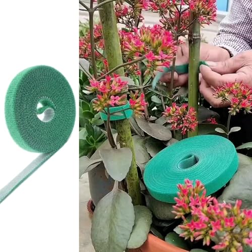 Gissroys Flexible Nylon Anlage Kabel Krawatte Grüne Garten Twines Verband Für Home Gärtnere Tragbare Drahtorganisierer Verbindungsgurt Bindungsgurt Gissroys Flexible Nylon Anlage Kabel Krawatte Grüne Garten Twines Verband Für Home Gärtnere Tragbare Drahtorganisierer Verbindungsgurt Bindungsgurt von Gissroys