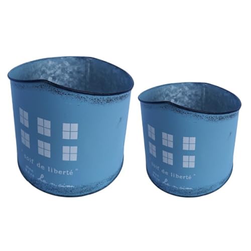 Gissroys Korrosionsbeständige Eisenbehälter Metallanbautöpfe Zum Kultivierungsdesign Tragbarer Pflanzenpräsentation Eisenblüten Pot Set von Gissroys