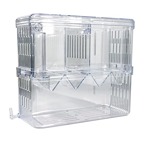 Gittcoll Acryl Fisch Zuchtbox Doppelschicht Aquarium Tank Fische Isolationskiste mit Saugnapf für Brutverletzte Pflegeteiler für kleine Zierfische Garnelen (Groß) von Gittcoll