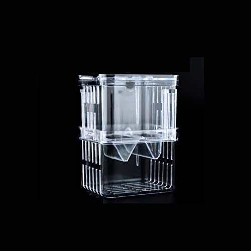 Gittcoll Acryl Fisch Zuchtbox Doppelschicht Aquarium Tank Fische Isolationskiste mit Saugnapf für Brutverletzte Pflegeteiler für kleine Zierfische Garnelen (Klein) von Gittcoll