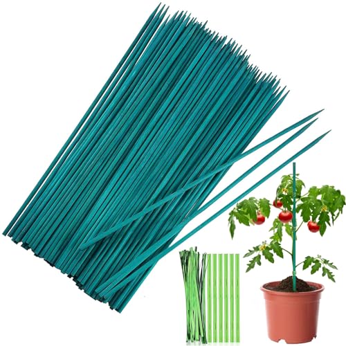 Pflanzenstütze, 50 Stück 30cm Pflanzenstab Rankhilfe, Bambusstäbe, Orchideenstab Plant Sticks mit 50 Metallischen Bindebändern für Haus Garten Kletterpflanze Erweiterung der Pflanzenstütze von Giugio