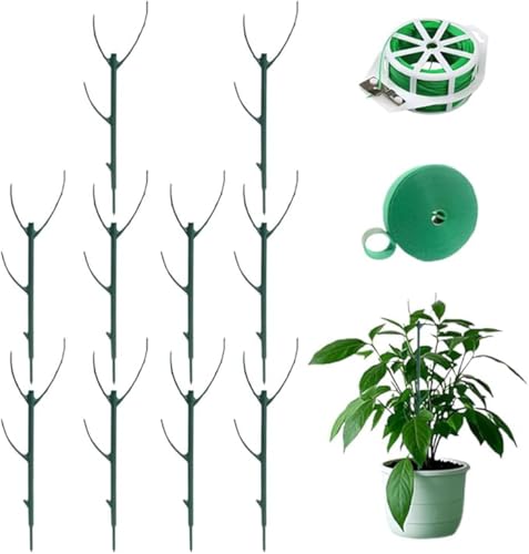 Monstera Plant Support Stakes – Plant Support Stakes, Plant Climbing, Firm and Stable, Durable Alternative to Moss Pole for Indoor Outdoor Plants (10 Pcs) von Giurui