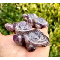 Amethyst Turtle, Wahl, 2 ", Natürlicher Lila Stein, Kristallschnitzerei, Spirituelle Geschenke, Geisttier-Edelstein Amethyst Turtle, Wahl, 2 ", Natürlicher Lila Stein, Kristallschnitzerei, Spirituelle Geschenke, Geisttier-Edelstein von GivingEarthMinerals