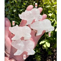 Clear Quartz Bear 2, 5 ", Wahl, Stein, Der Kristalledelstein Schnitzt, Geschnitztes Geist-Tier, Spirituelles Geschenk Clear Quartz Bear 2, 5 ", Wahl, Stein, Der Kristalledelstein Schnitzt, Geschnitztes Geist-Tier, Spirituelles Geschenk von GivingEarthMinerals